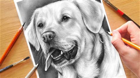 How to Draw a Realistic Dog .